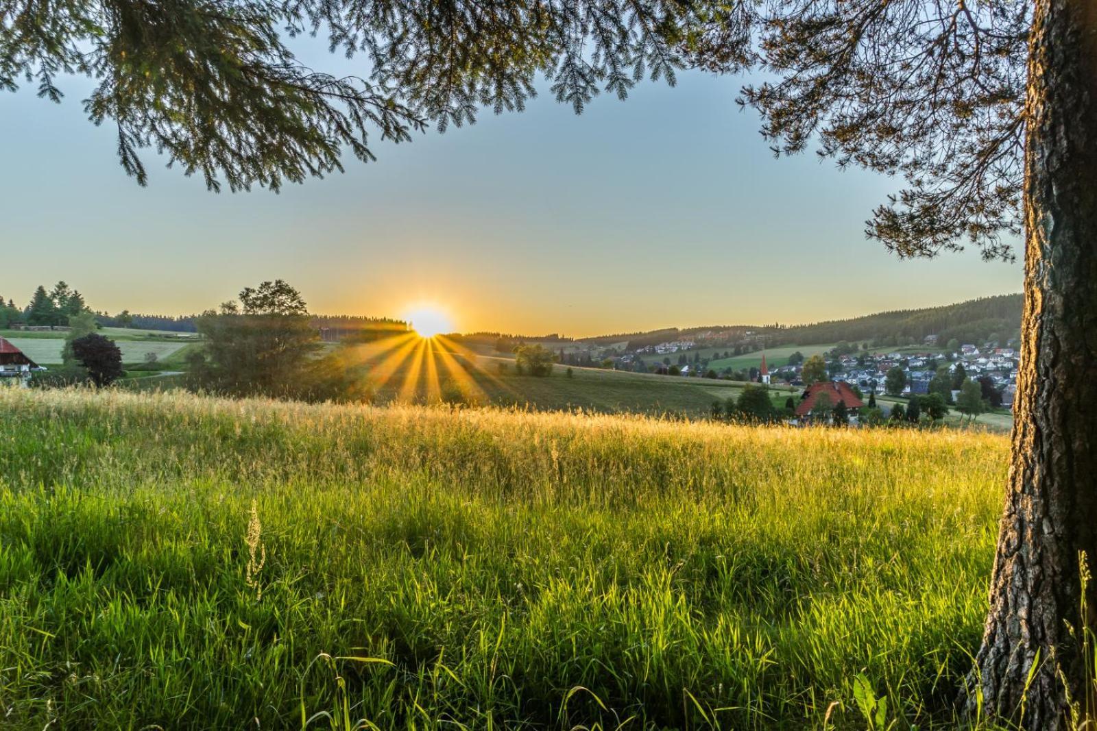 Landhaus Panoramablick Schonach im Schwarzwald Екстер'єр фото