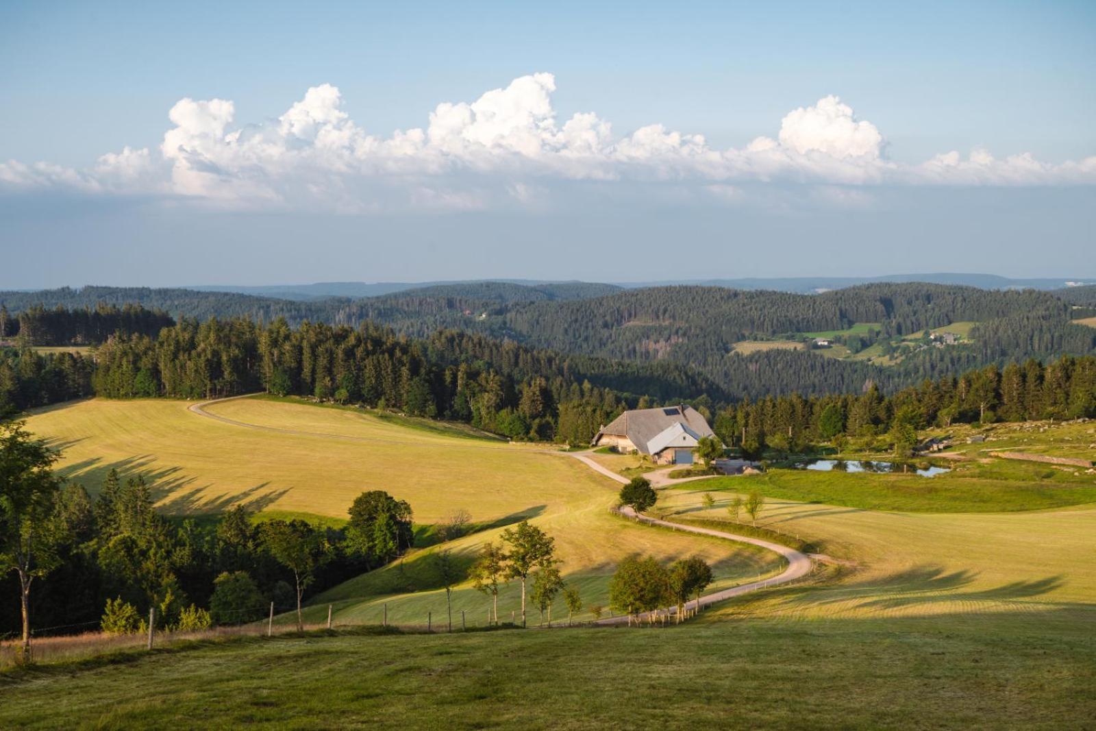 Landhaus Panoramablick Schonach im Schwarzwald Екстер'єр фото