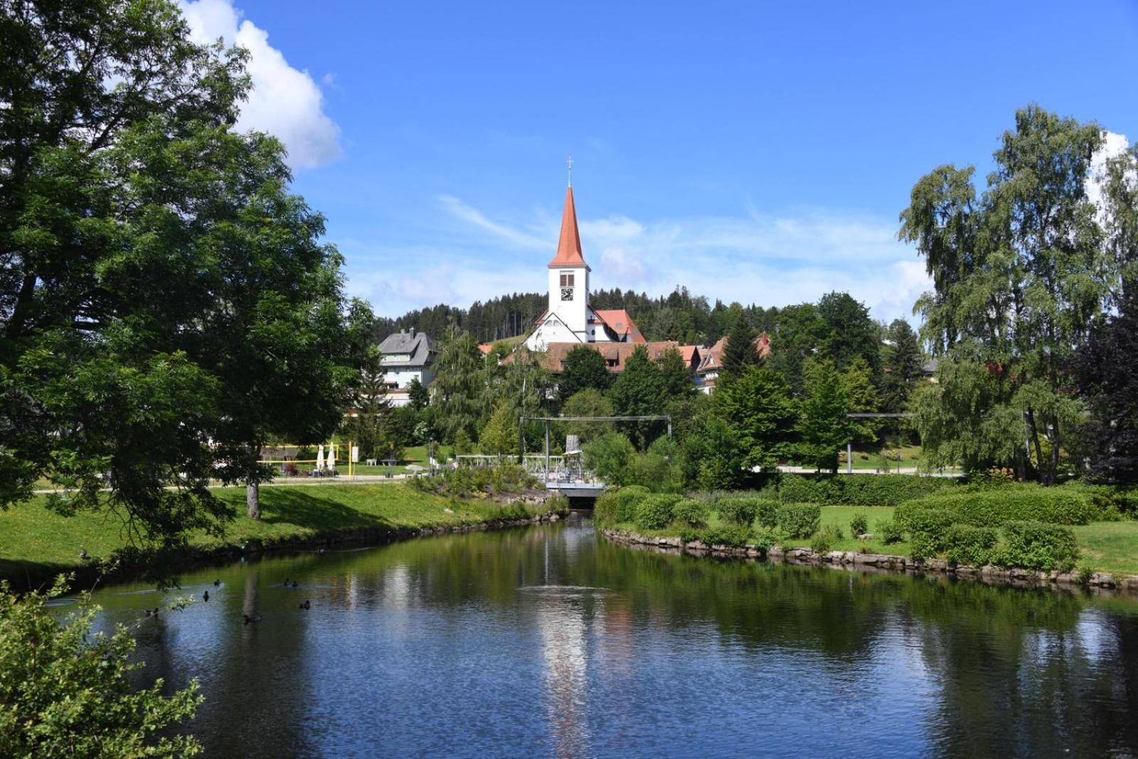 Landhaus Panoramablick Schonach im Schwarzwald Екстер'єр фото