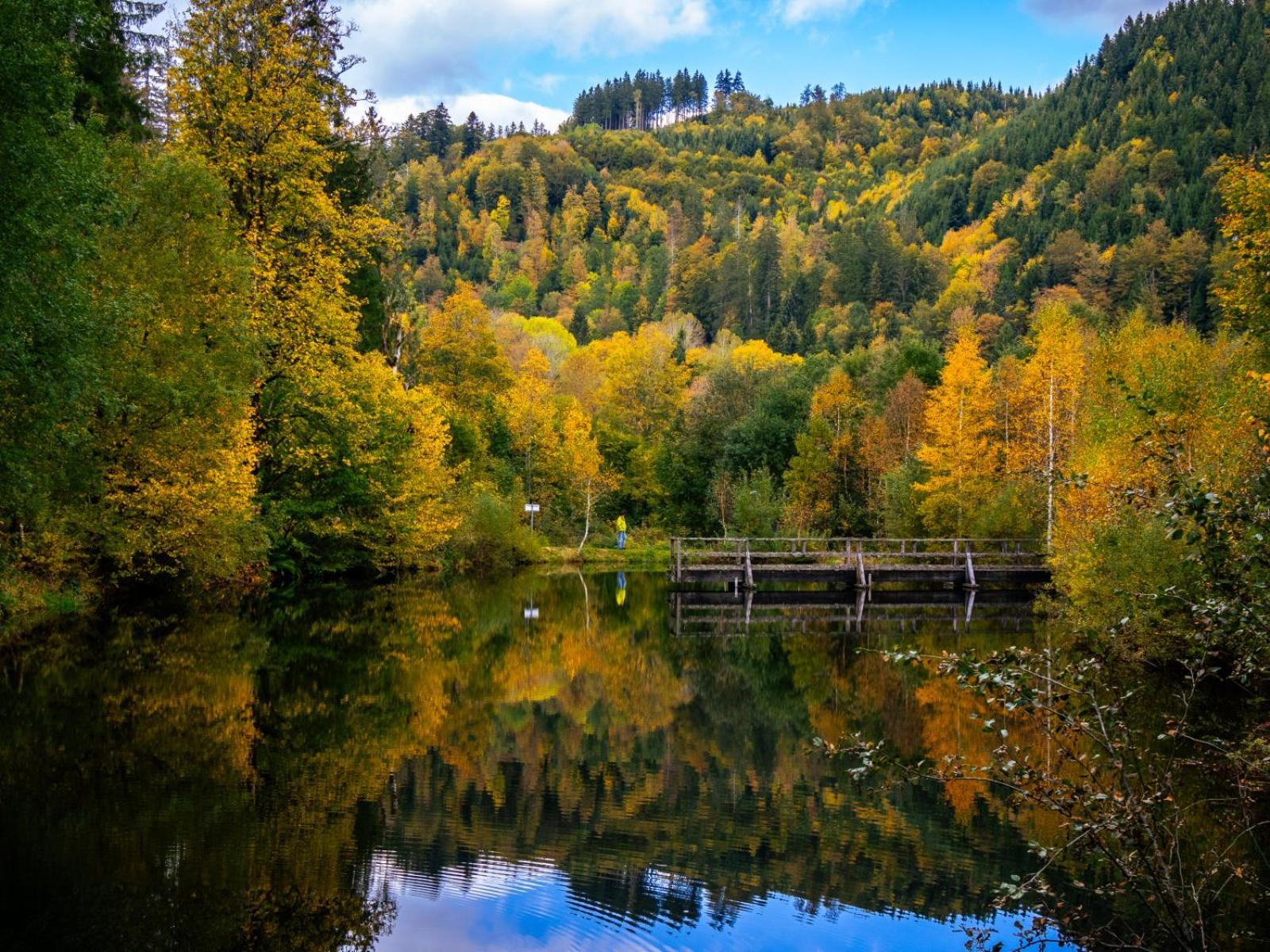 Landhaus Panoramablick Schonach im Schwarzwald Екстер'єр фото
