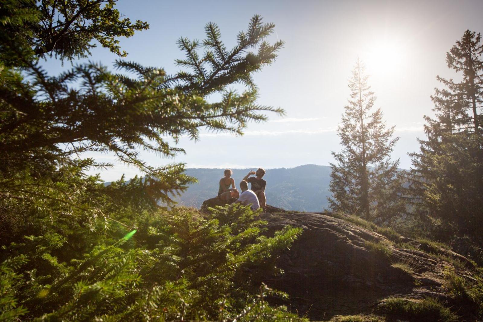 Landhaus Panoramablick Schonach im Schwarzwald Екстер'єр фото